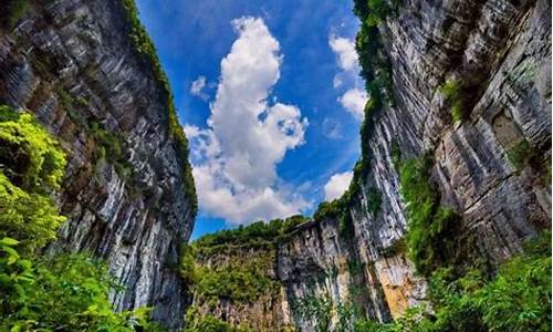 武隆仙女山旅游_武隆仙女山旅游攻略