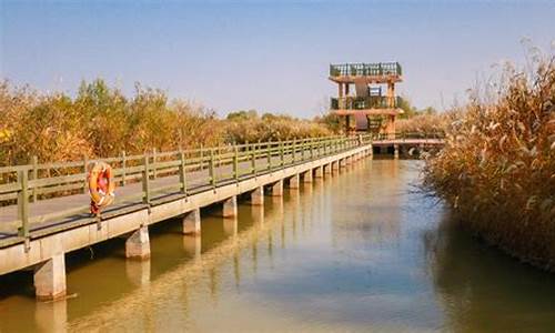 黄河口生态旅游区_黄河口生态旅游区门票价格