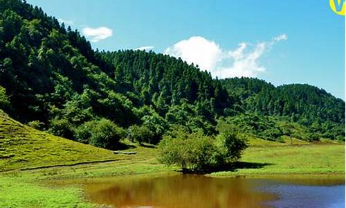 重庆仙女山在哪里_重庆仙女山在哪里多少公里