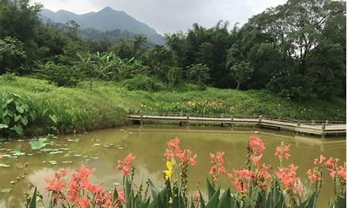 佛山南丹山风景区介绍_佛山南丹山风景区介绍视频